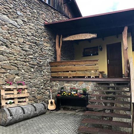 Apartament Spicak - U Barabu Železná Ruda Zewnętrze zdjęcie