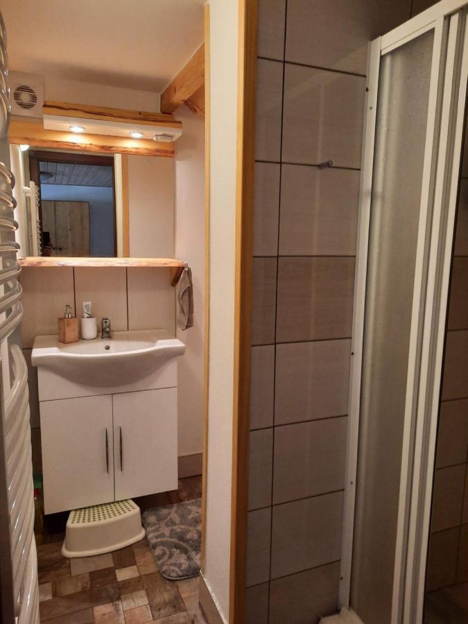 Apartament Spicak - U Barabu Železná Ruda Zewnętrze zdjęcie