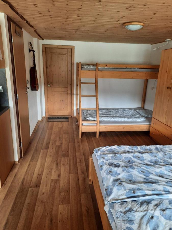 Apartament Spicak - U Barabu Železná Ruda Zewnętrze zdjęcie