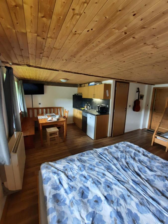 Apartament Spicak - U Barabu Železná Ruda Zewnętrze zdjęcie