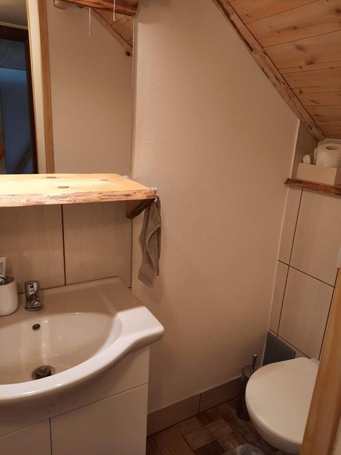 Apartament Spicak - U Barabu Železná Ruda Zewnętrze zdjęcie